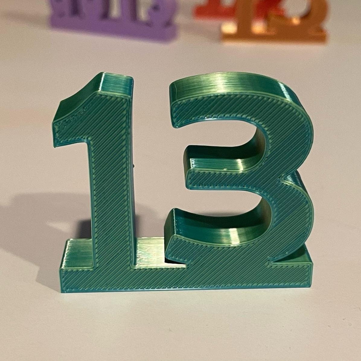 13 charms for your vinyl play area, storage, parties - Taylor - one charm
