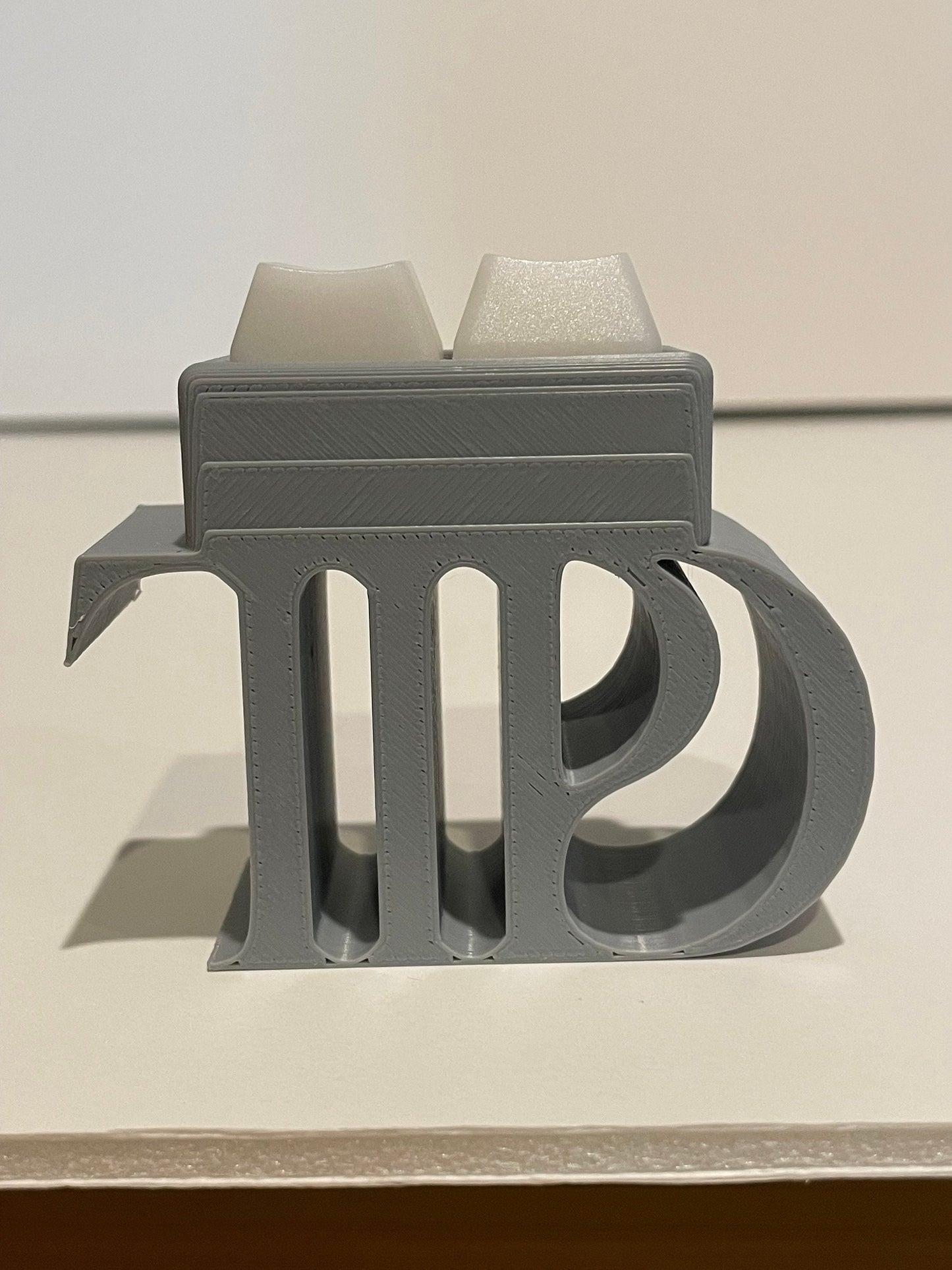 TTPD fidget toy for your vinyl play area or storage - Taylor Tortured Poets Department - one charm