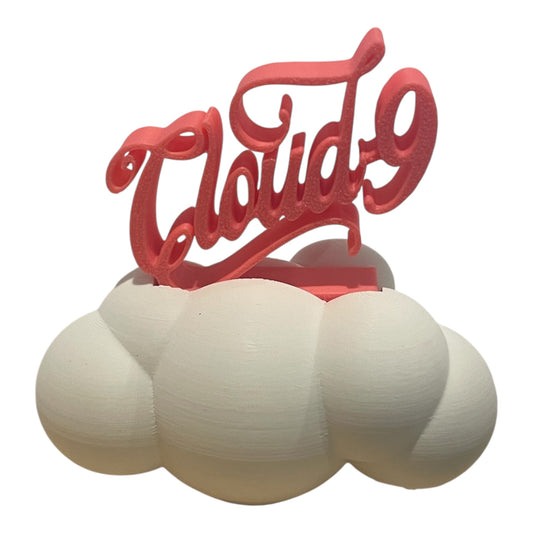 Megan Moroney charms