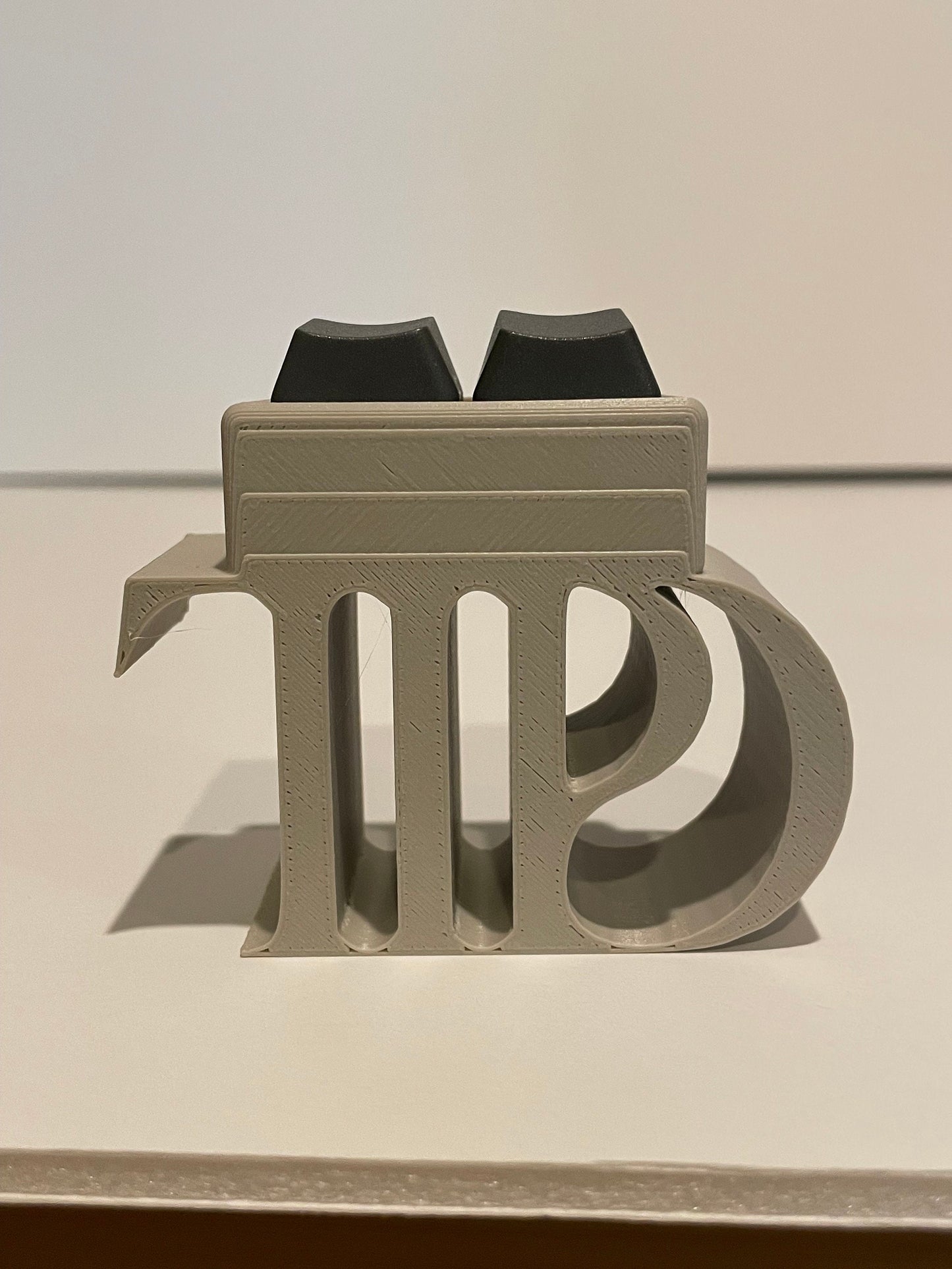 TTPD fidget toy for your vinyl play area or storage - Taylor Tortured Poets Department - one charm