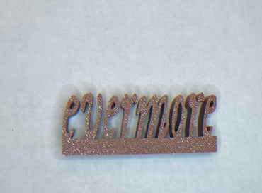 Evermore charm for record collectors or accessorizing Taylor Swifties