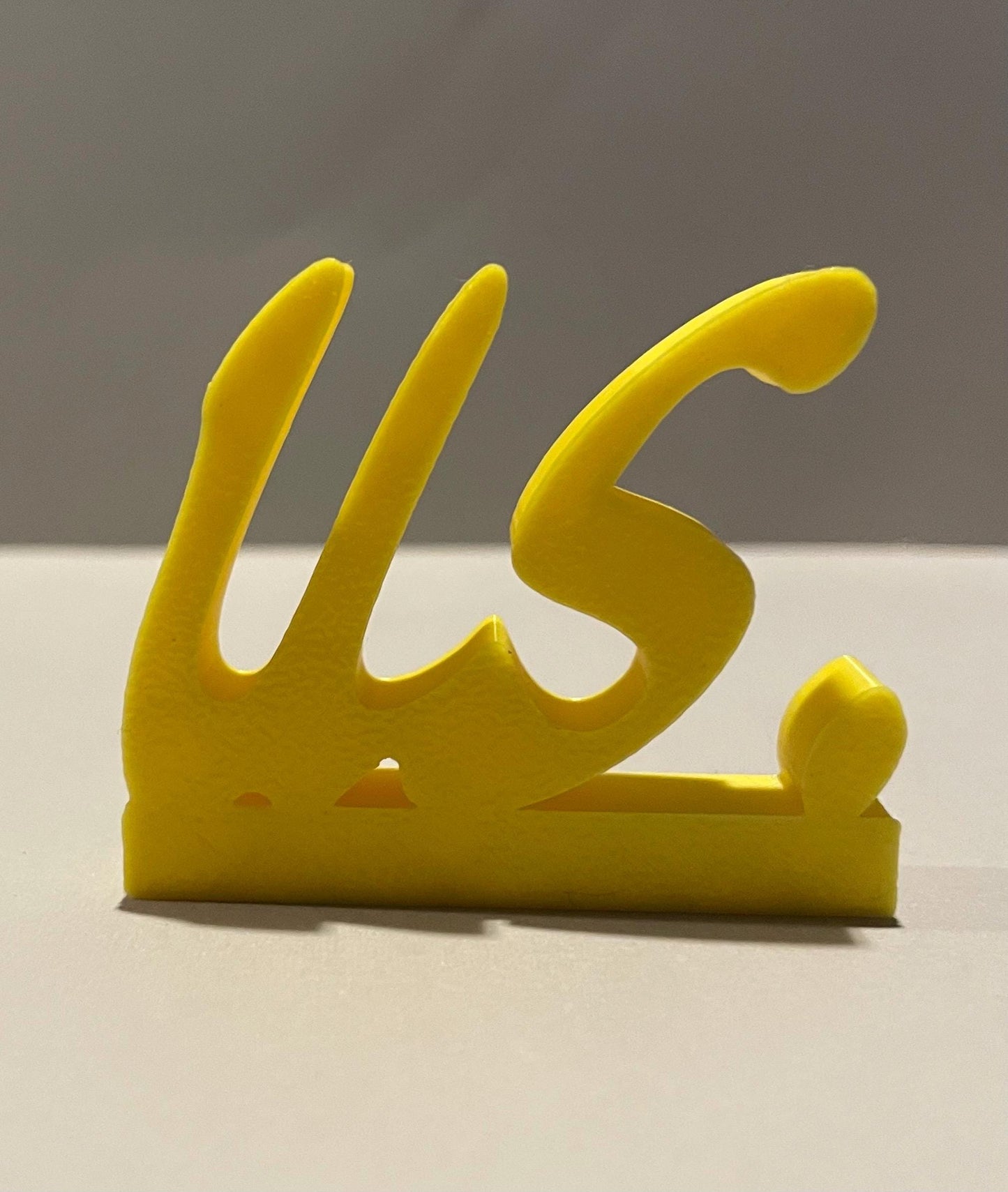 Gracie Abrams charms for vinyl record collectors or accessorizing Gracie display areas.  The secret of us.